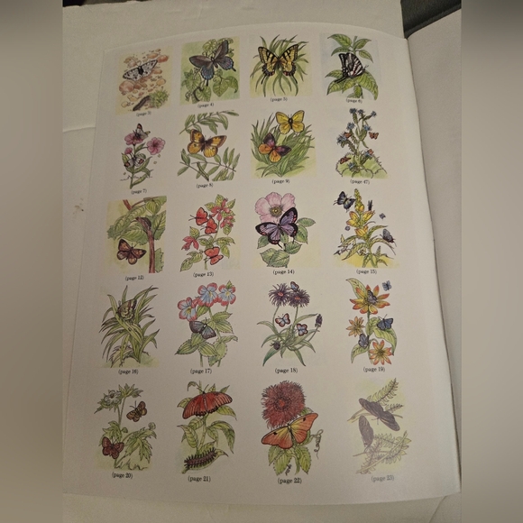 Bundle/3 Butterfly Adult Coloring Books - Picture 8 of 16